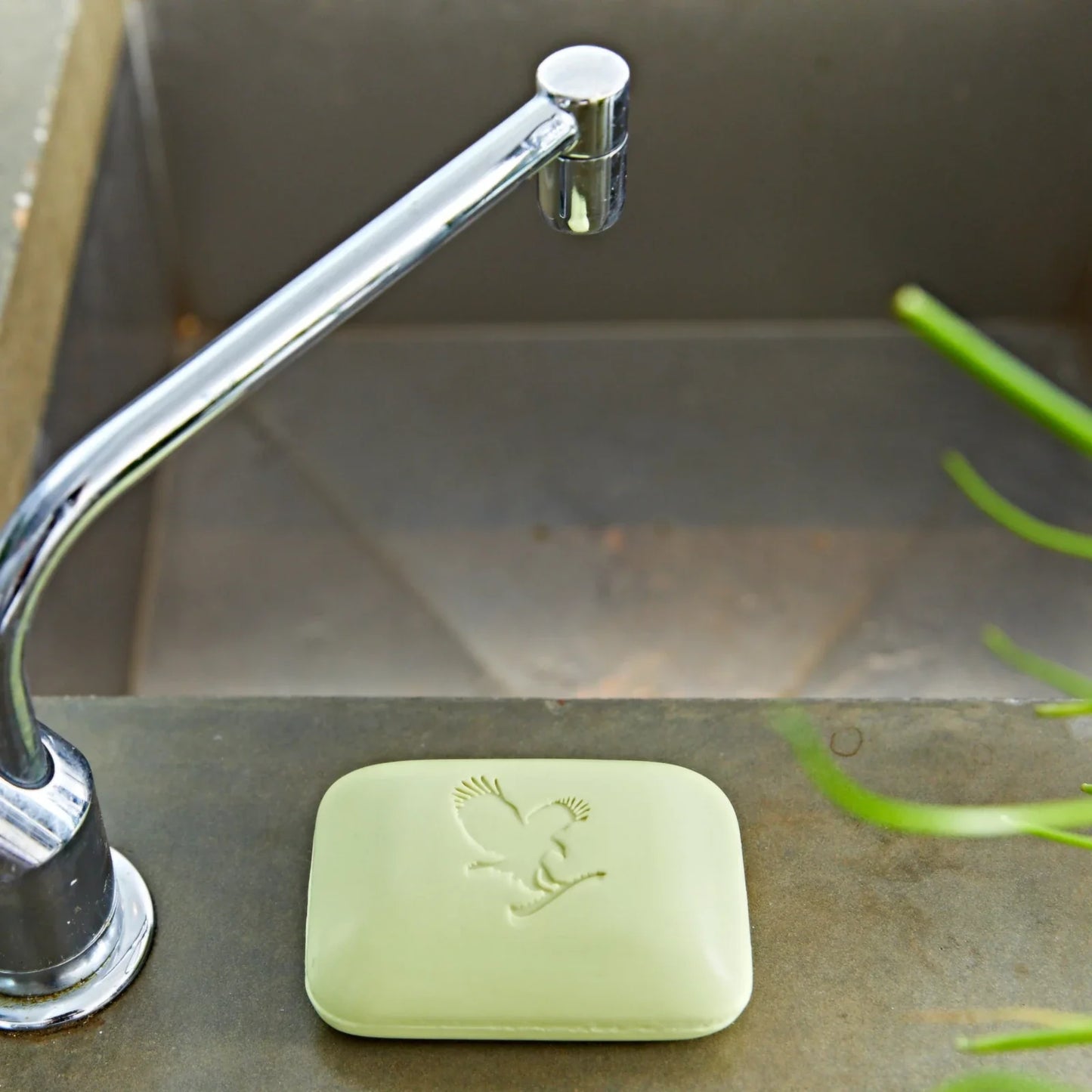 Avocado Face & Body Soap